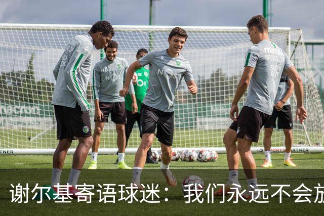 谢尔基寄语球迷：我们永远不会放弃，将以更强大的姿态归来