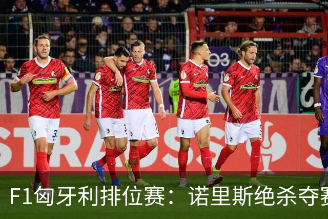 F1匈牙利排位赛：诺里斯绝杀夺赛季正赛首杆，汉密尔顿第二